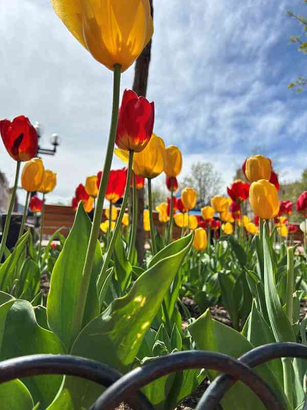 Boulder County Bar Association Presentation: 2024 and 2025 Landlord-Tenant Law Changes