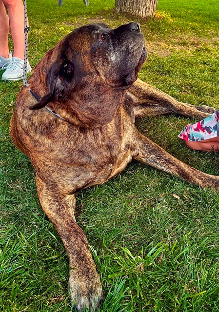 Diesel looking up web Lg